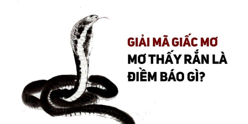 mơ thấy rắn đánh con gì