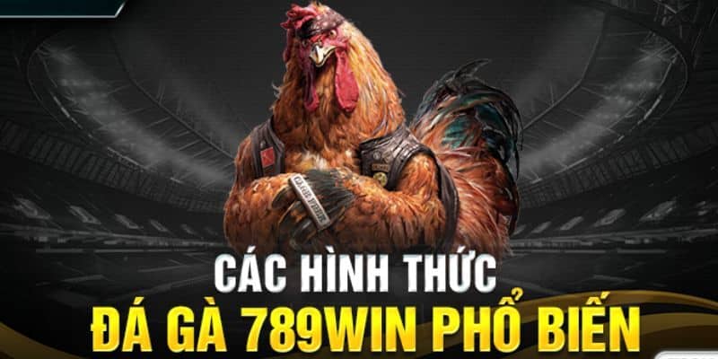 Các thể loại đá gà 789Win hấp dẫn