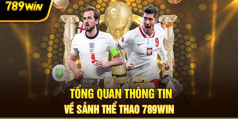 Thể thao 789win - sân chơi cá cược đỉnh cao