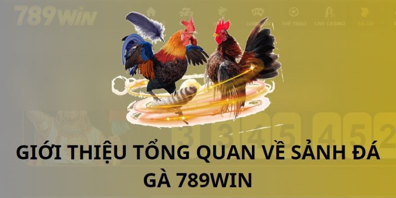 Tổng quan về sảnh đá gà 789Win