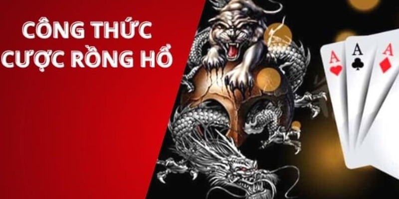 Công thức chơi rồng hổ được chia sẻ từ cao cao thủ